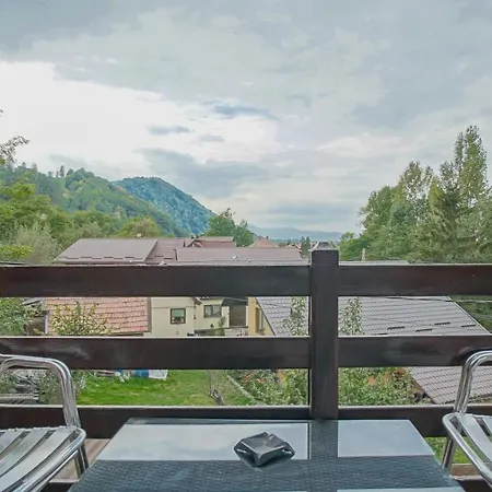 Guest house Pensiunea La Busu 3*