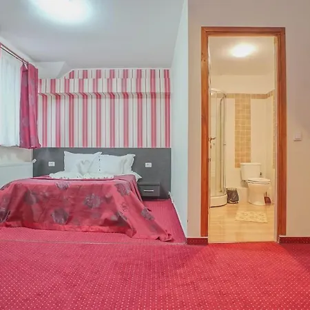 Pensiunea La Busu Guest house Bran (Brasov)